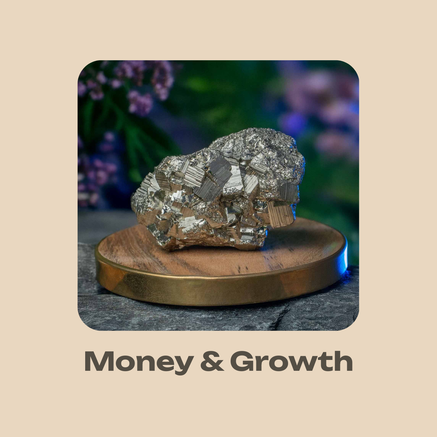 Money and Growth
