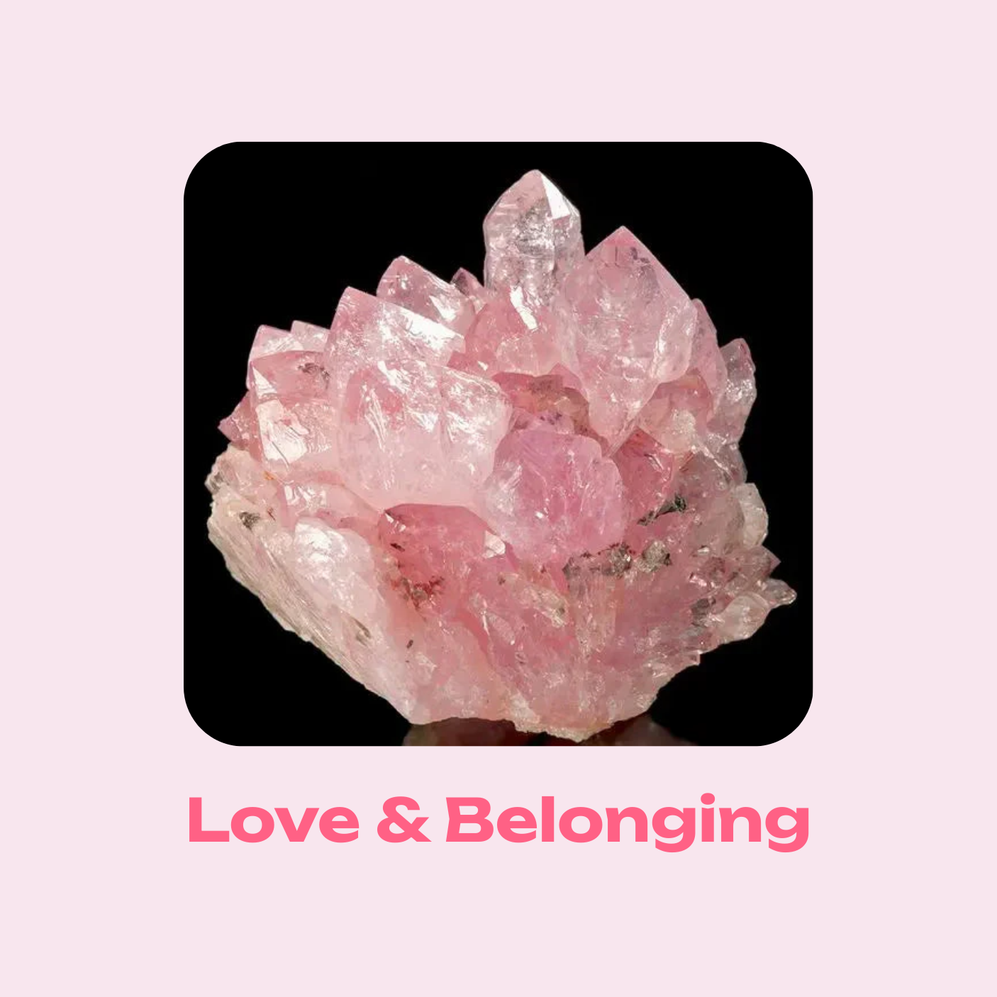 Love and Belongings