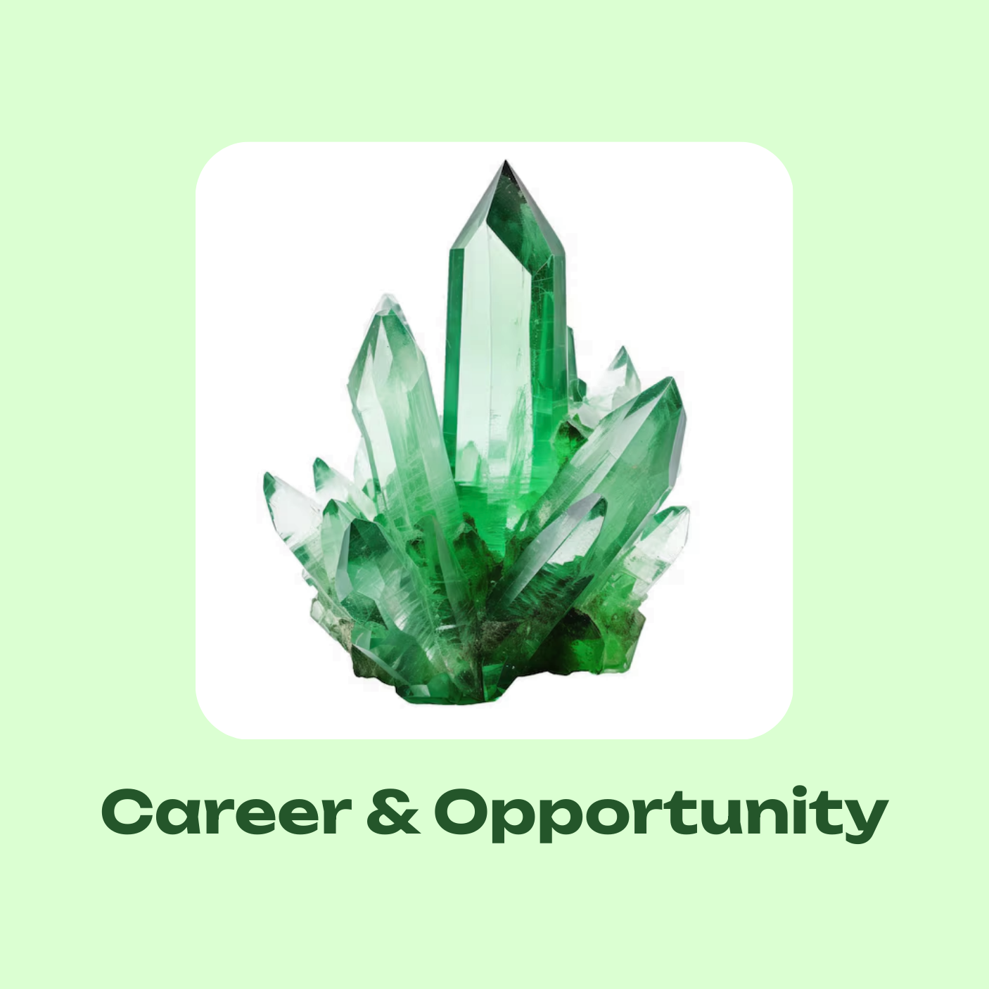 Career and Opportunity