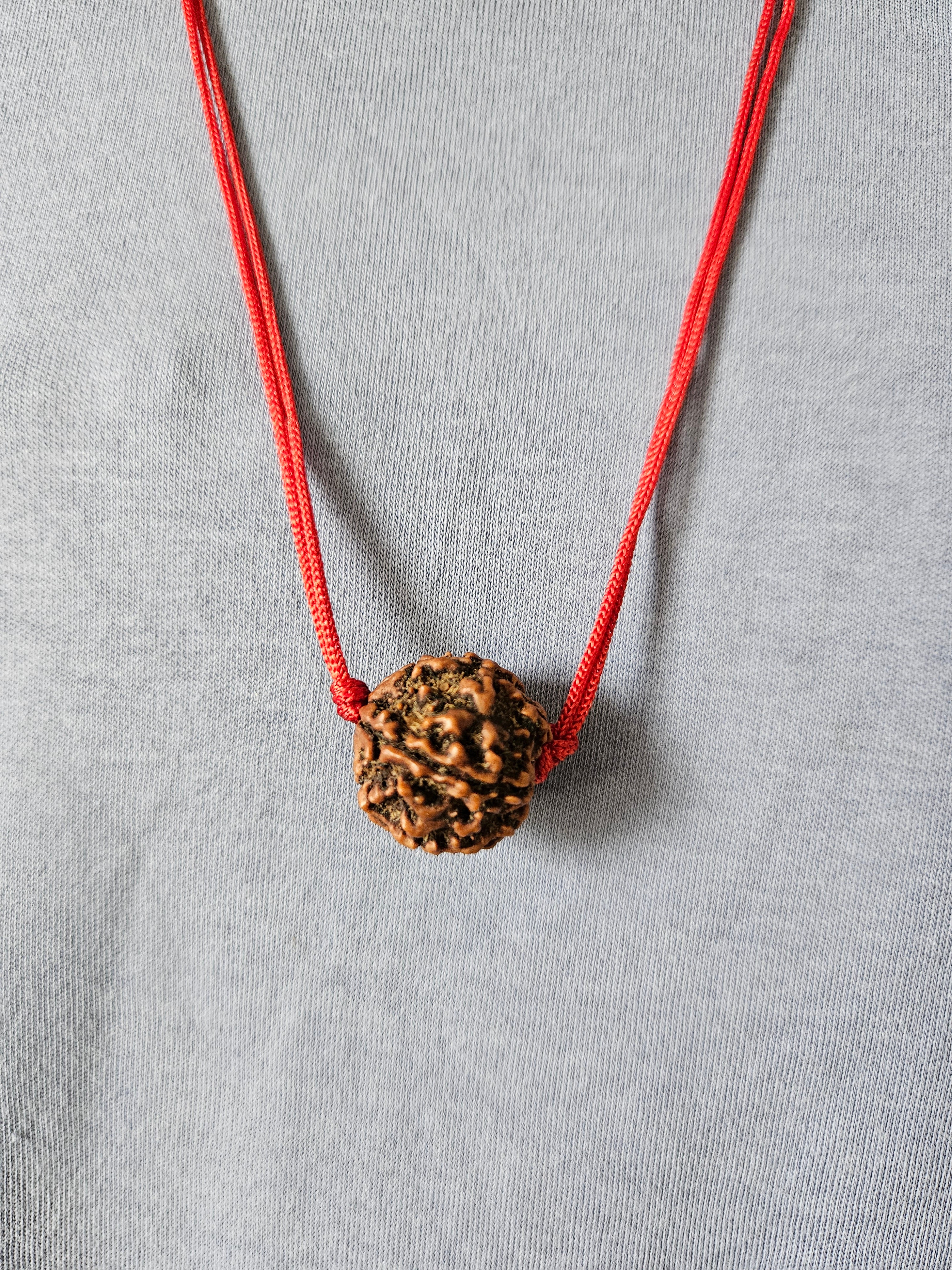 Natural 5 Mukhi Rudraksha Bead (26mm)